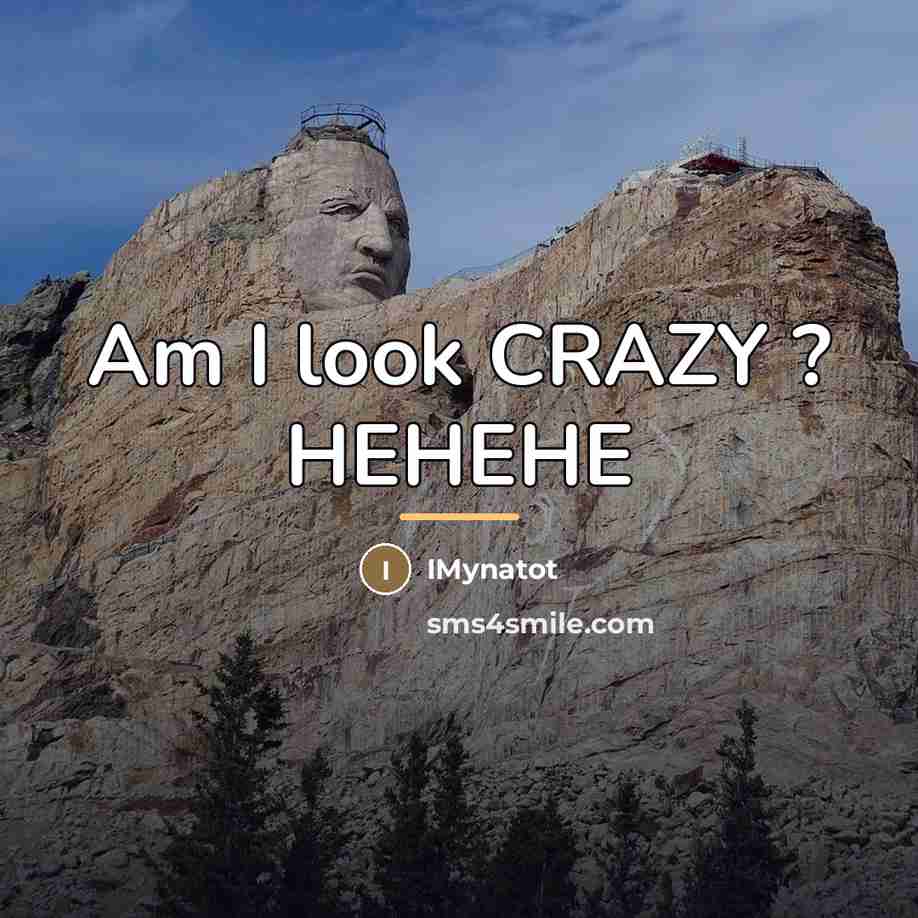 “Am I look CRAZY ? HEHEHE…” quote by IMynatot