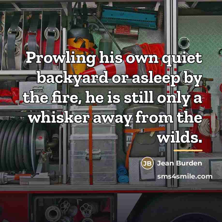 “Prowling his own quiet backyard or asleep by the fire,…” quote by Jean Burden