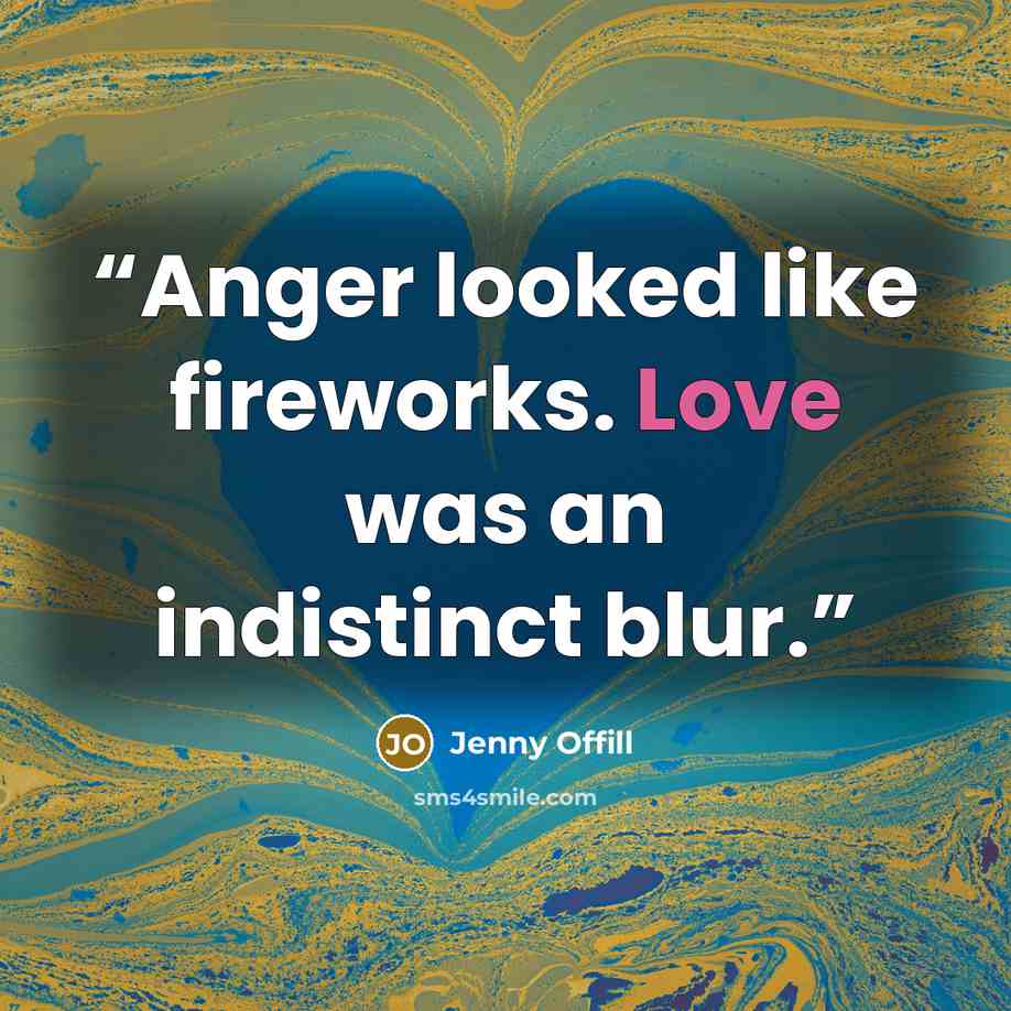 “Anger looked like fireworks. Love was an indistinct blur.” quote by Jenny Offill
