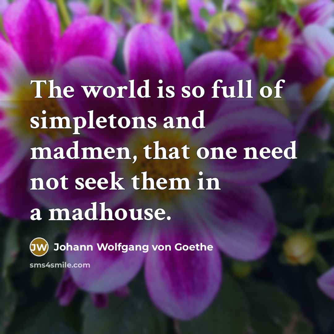 “The world is so full of simpletons and madmen, that…” quote by Johann Wolfgang von Goethe