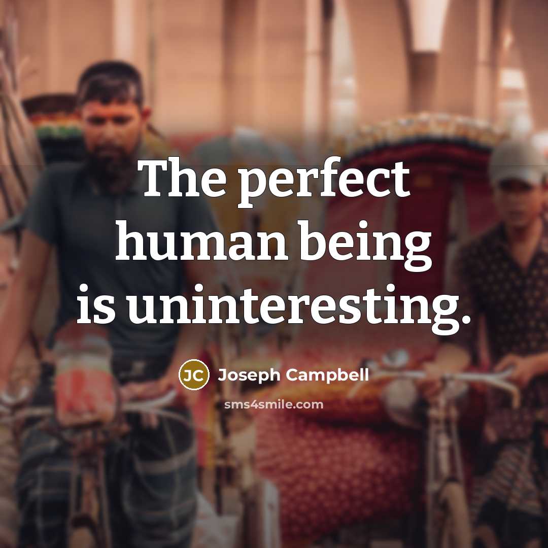 “The perfect human being is uninteresting.” quote by Joseph Campbell