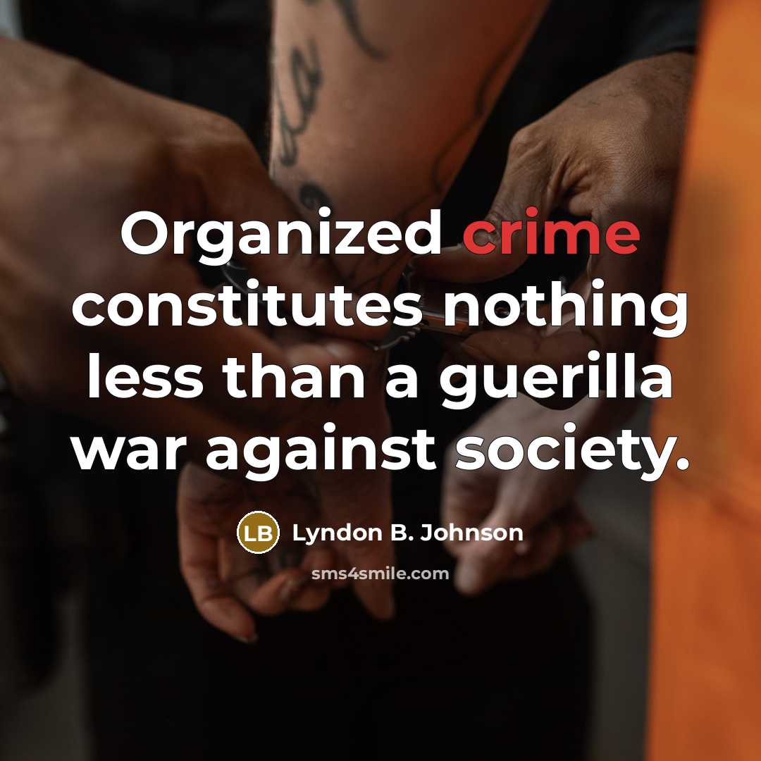 “Organized crime constitutes nothing less than a guerilla war against…” quote by Lyndon B. Johnson