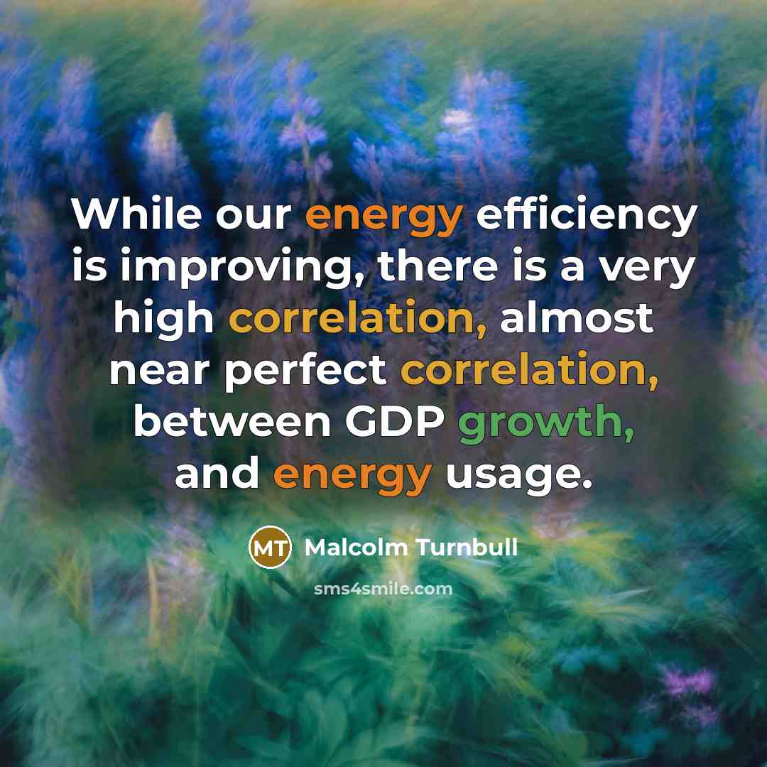 “While our energy efficiency is improving, there is a very high correlation, almost near perfect correlation, between GDP growth, and energy usage.” quote by Malcolm Turnbull
