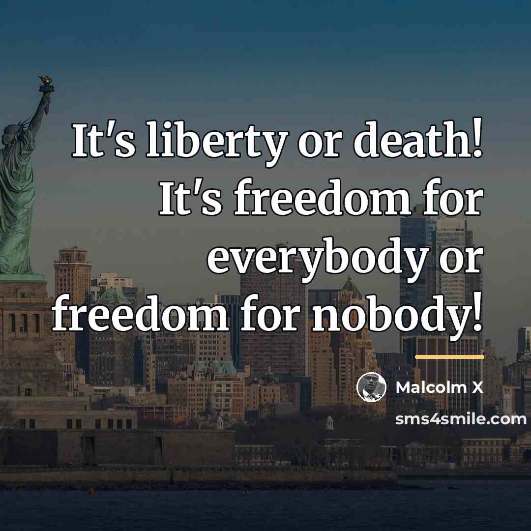 “It's liberty or death! It's freedom for everybody or freedom…” quote by Malcolm X
