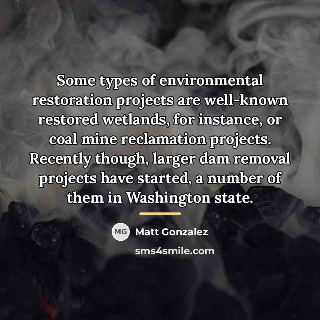 “Some types of environmental restoration projects are well-known restored wetlands,…” quote by Matt Gonzalez