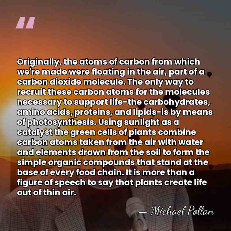 Originally, the atoms of carbon from which we're made were floating in&hellip; - Michael Pollan