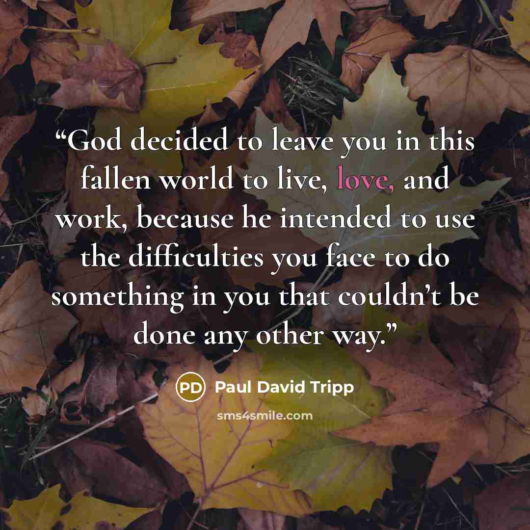 “God decided to leave you in this fallen world to live, love, and work, because he intended to use the difficulties you face to do something in you that couldn’t be done any other way.” quote by Paul David Tripp