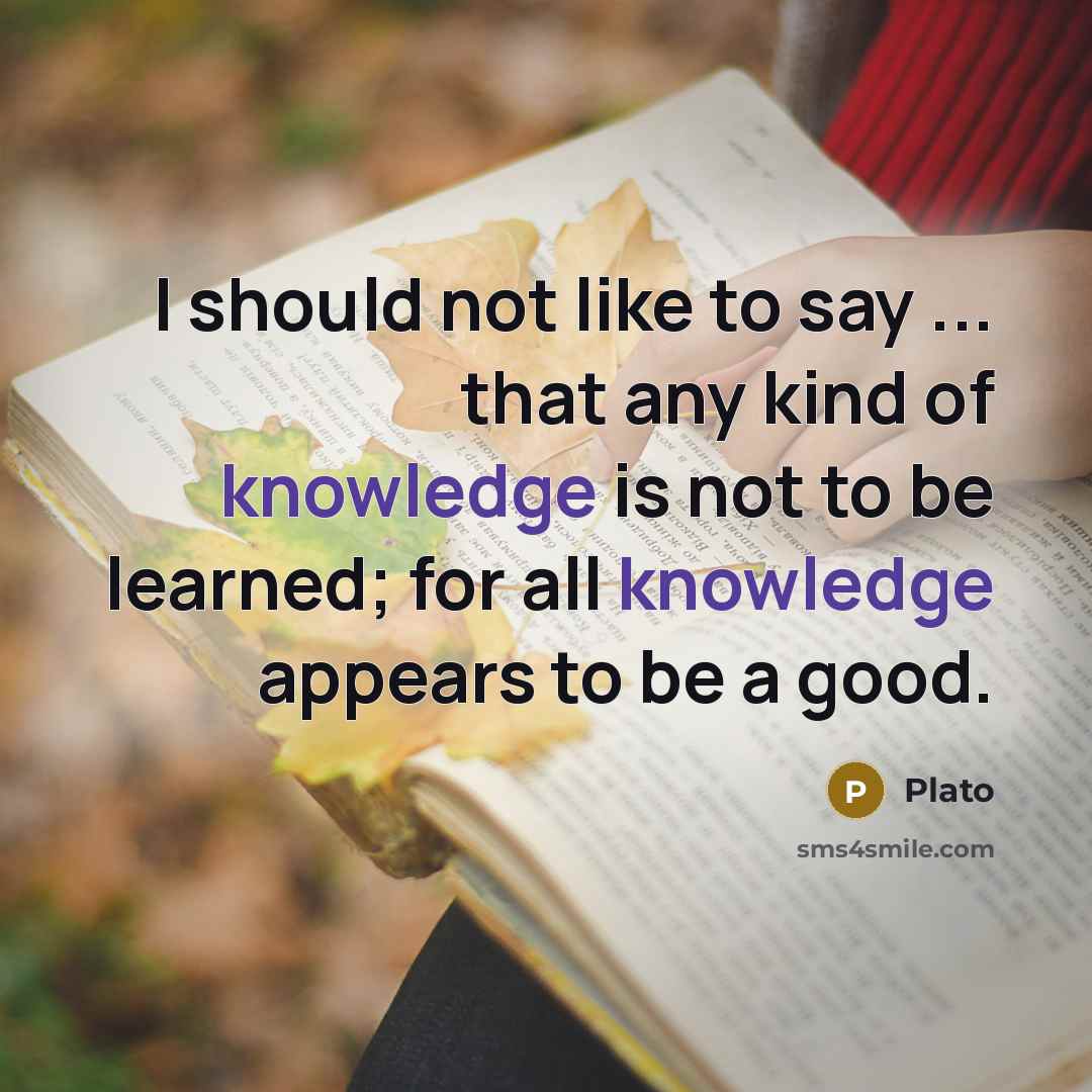 “I should not like to say ... that any kind…” quote by Plato