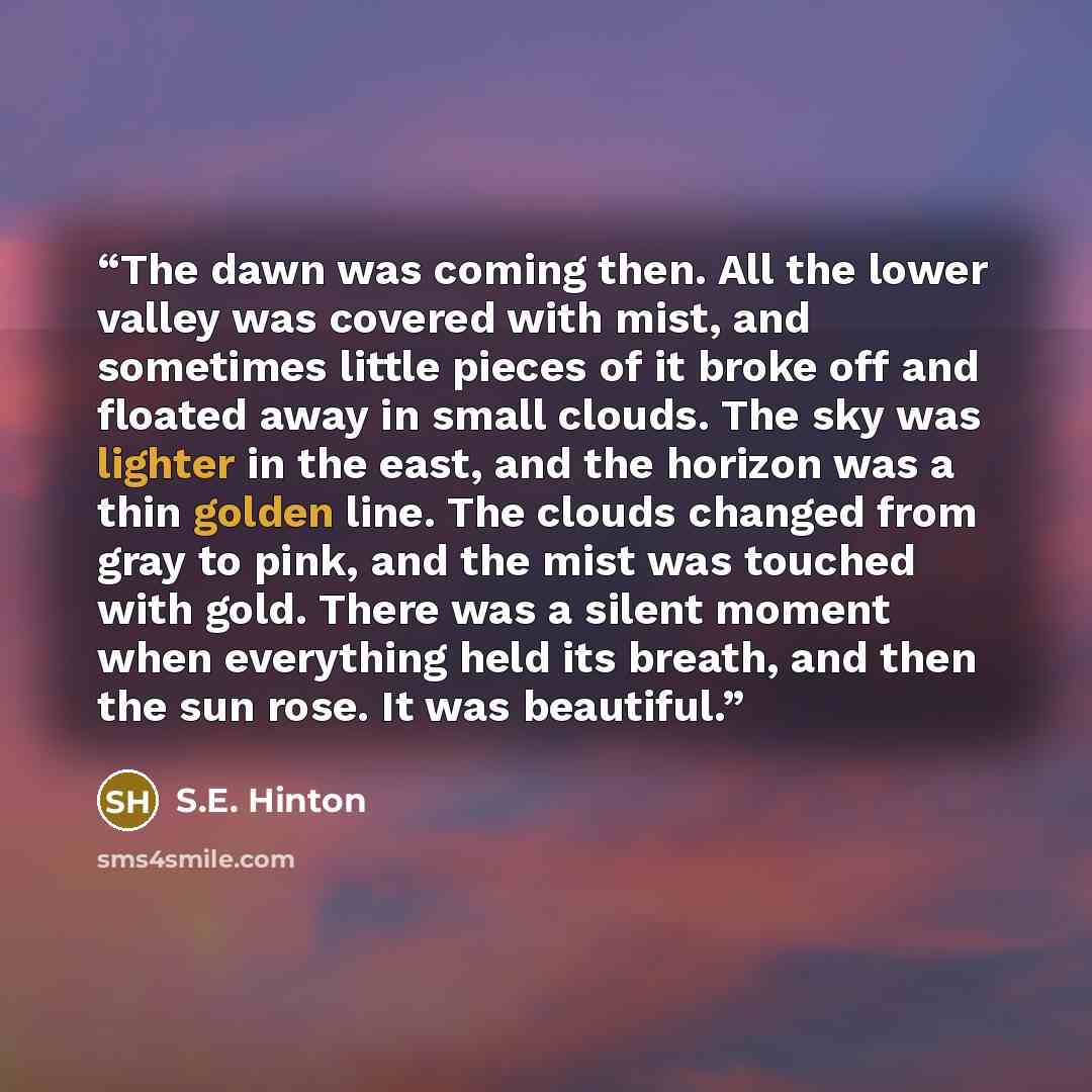 “The dawn was coming then. All the lower valley was covered with mist, and sometimes little pieces of it broke off and floated away in small clouds. The sky was lighter in the east, and the horizon was a thin golden line. The clouds changed from gray to pink, and the mist was touched with gold…” quote by S.E. Hinton