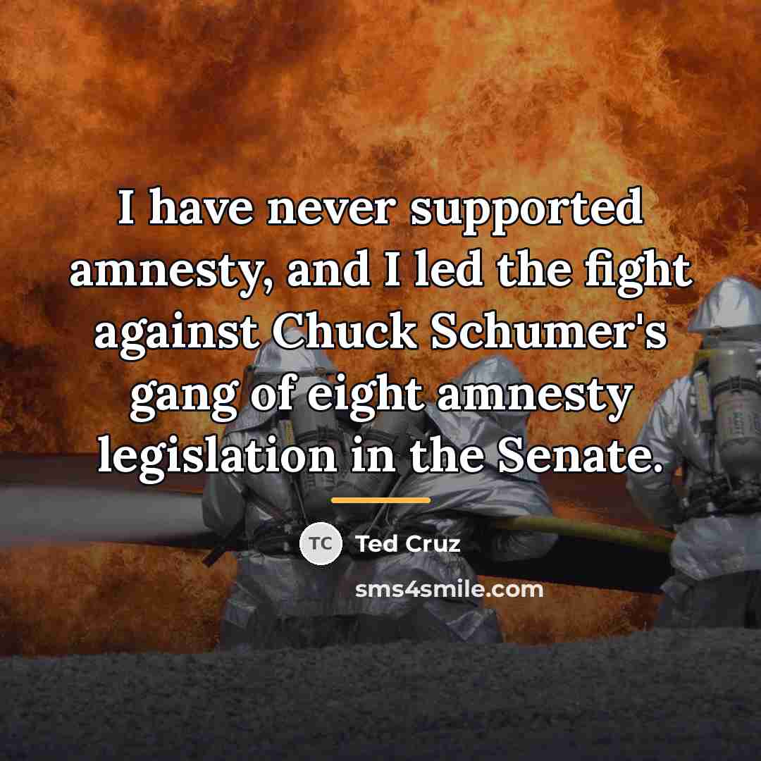 “I have never supported amnesty, and I led the fight…” quote by Ted Cruz