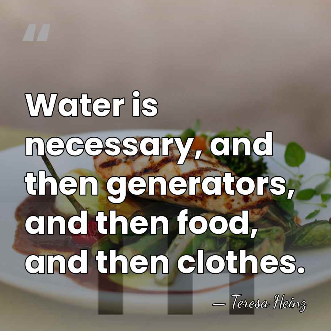 Water is necessary, and then generators, and then food, and then clothes. - Teresa Heinz