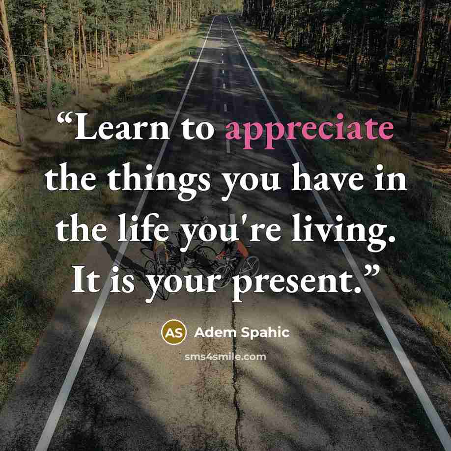“Learn to appreciate the things you have in the life you're living. It is your present.” quote by Adem Spahic