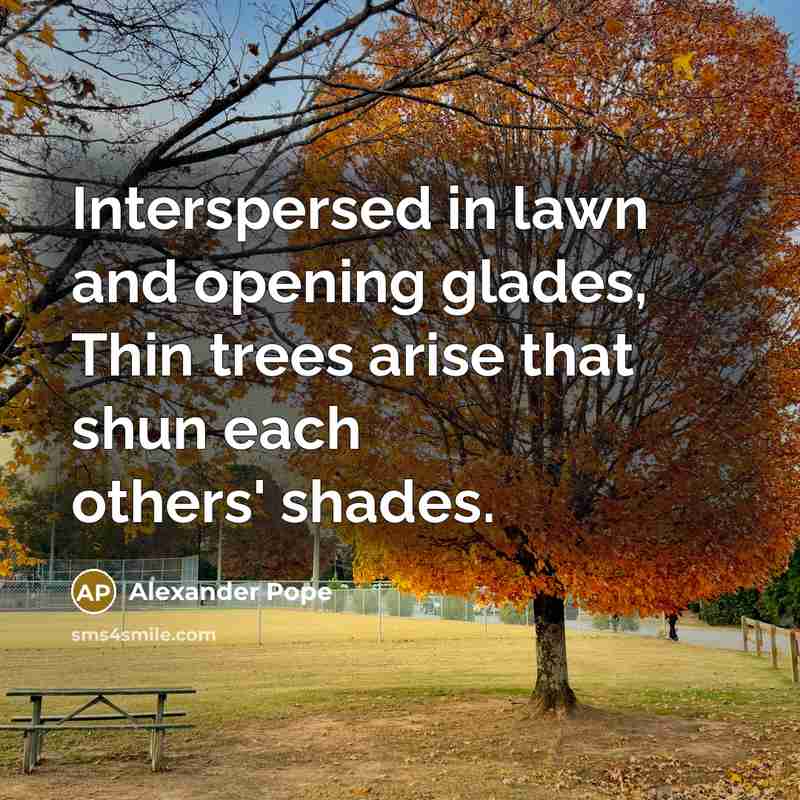 “Interspersed in lawn and opening glades, Thin trees arise that…” quote by Alexander Pope