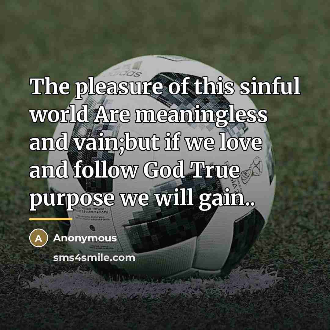 “The pleasure of this sinful world Are meaningless and vain;but…” quote by Anonymous