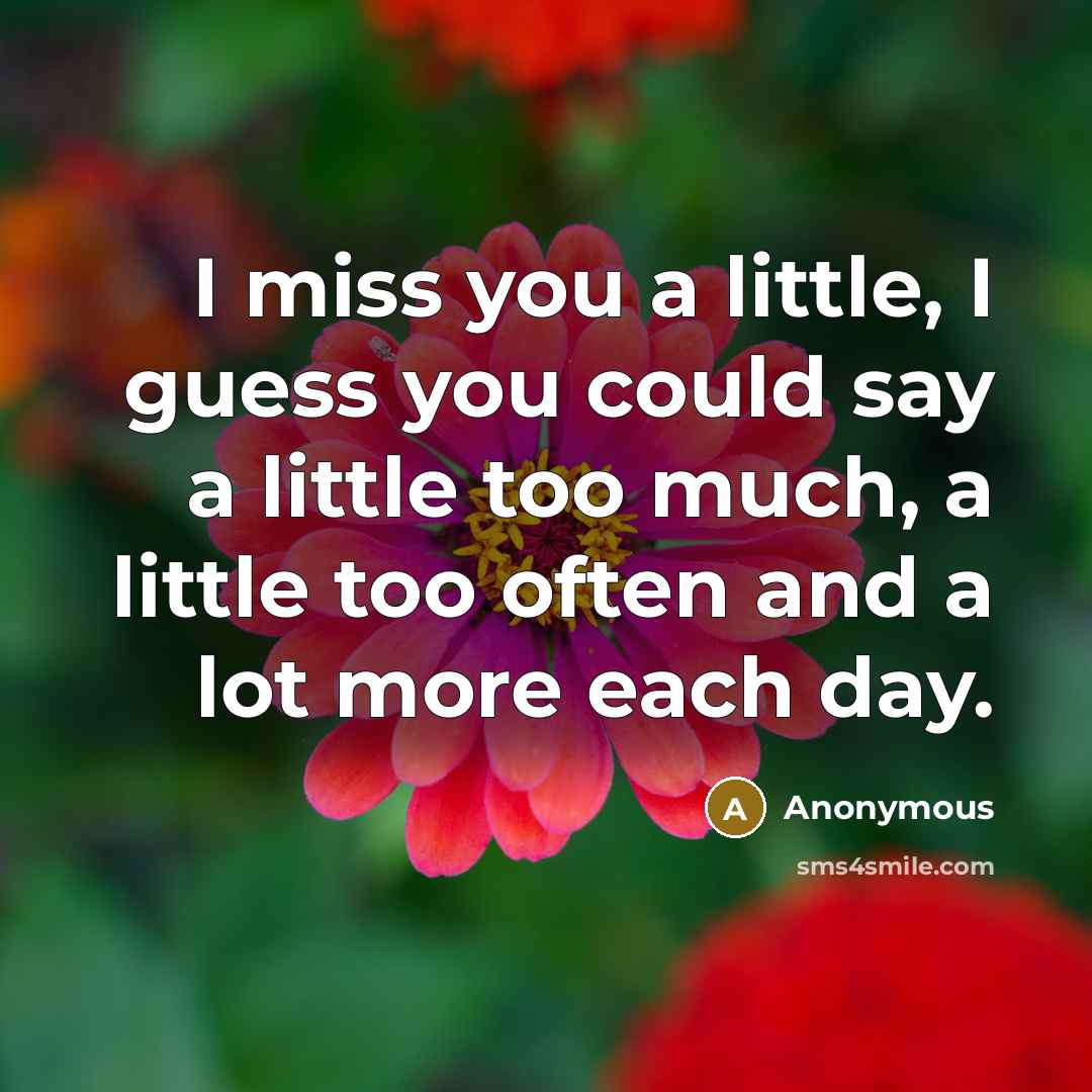 “I miss you a little, I guess you could say a little too much, a little too often and a lot more each day.” quote by Anonymous