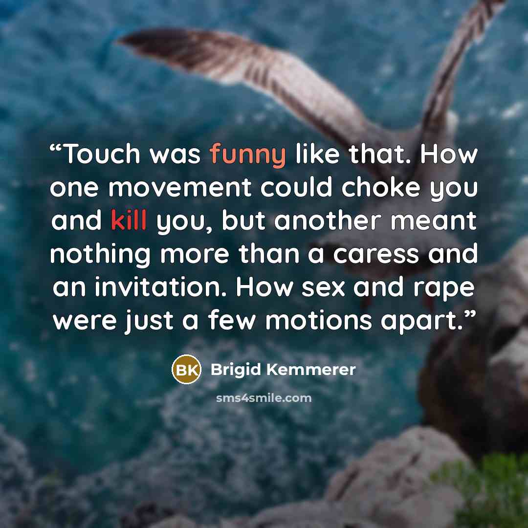 “Touch was funny like that. How one movement could choke you and kill you, but another meant nothing more than a caress and an invitation. How sex and rape were just a few motions apart.” quote by Brigid Kemmerer