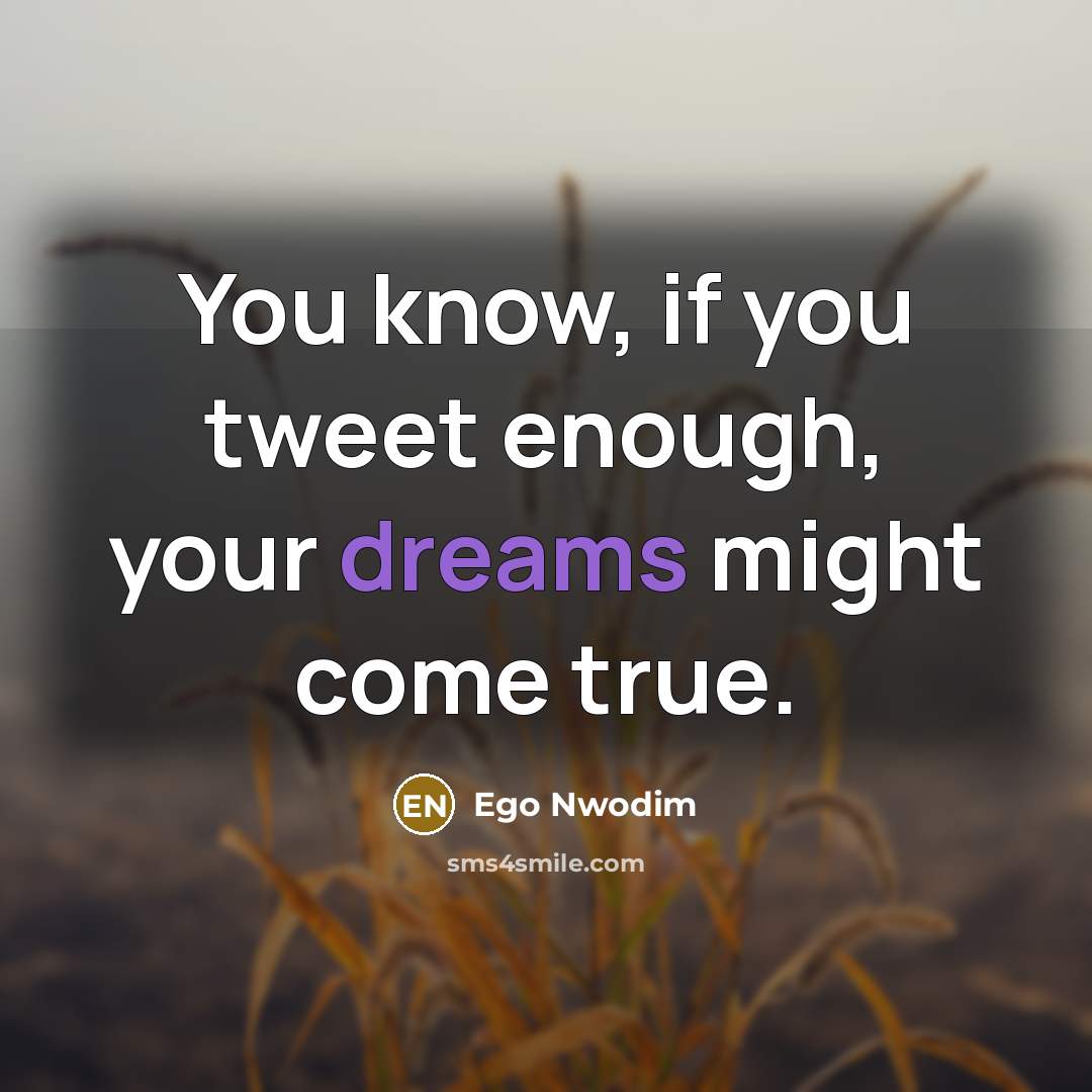 “You know, if you tweet enough, your dreams might come…” quote by Ego Nwodim