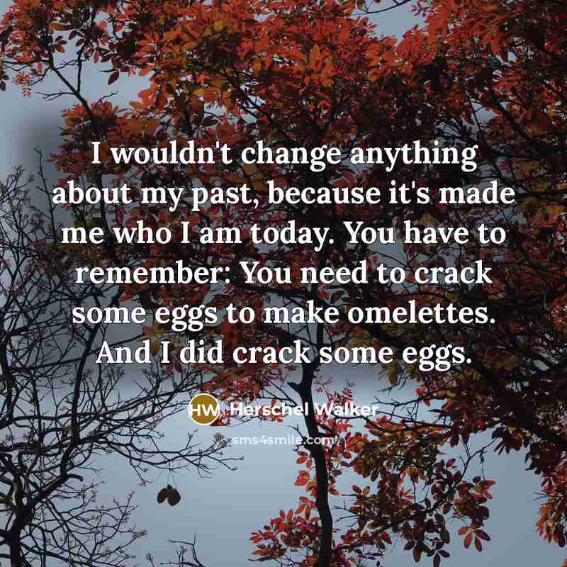 “I wouldn't change anything about my past, because it's made…” quote by Herschel Walker