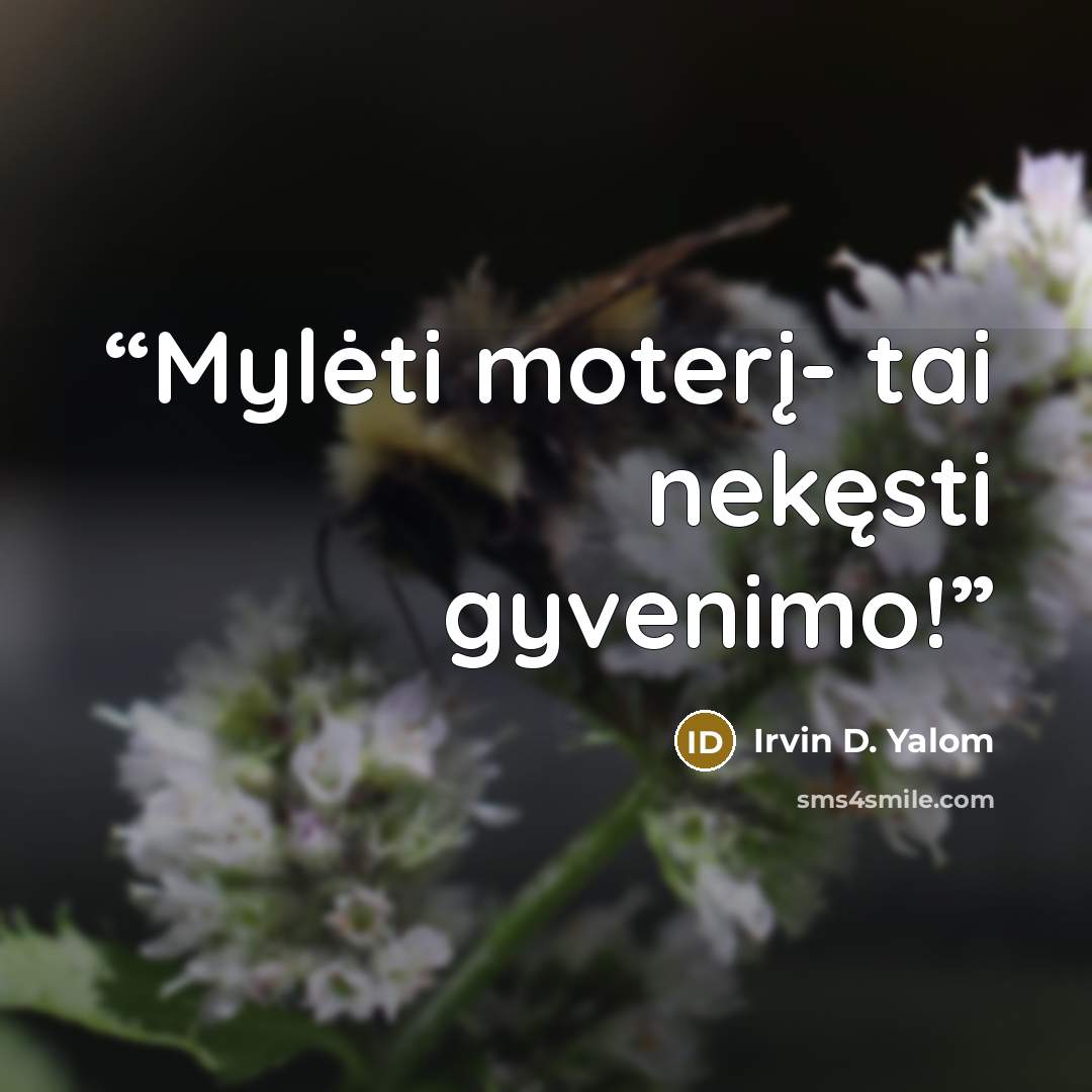 “Mylėti moterį- tai nekęsti gyvenimo!” quote by Irvin D. Yalom