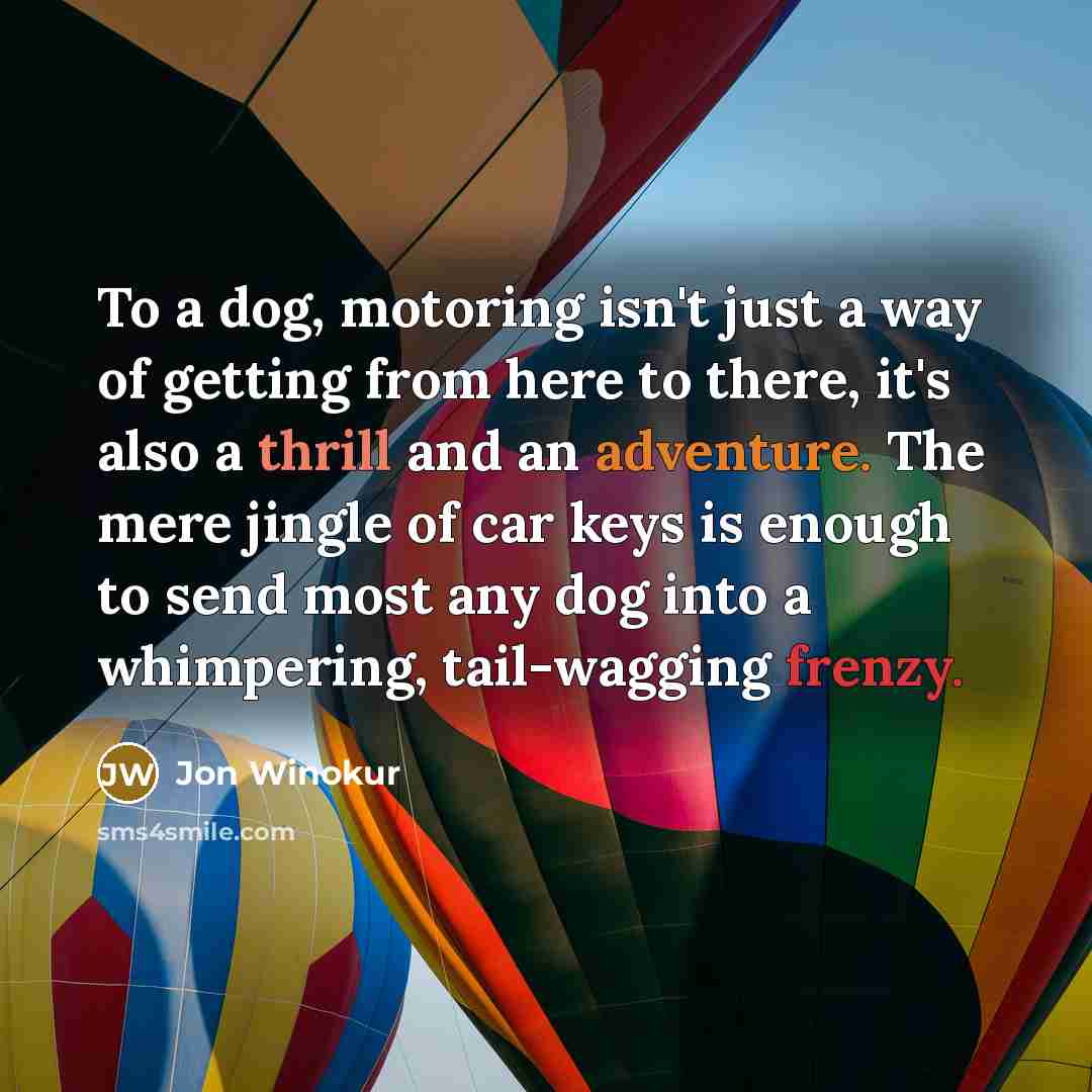 “To a dog, motoring isn't just a way of getting…” quote by Jon Winokur