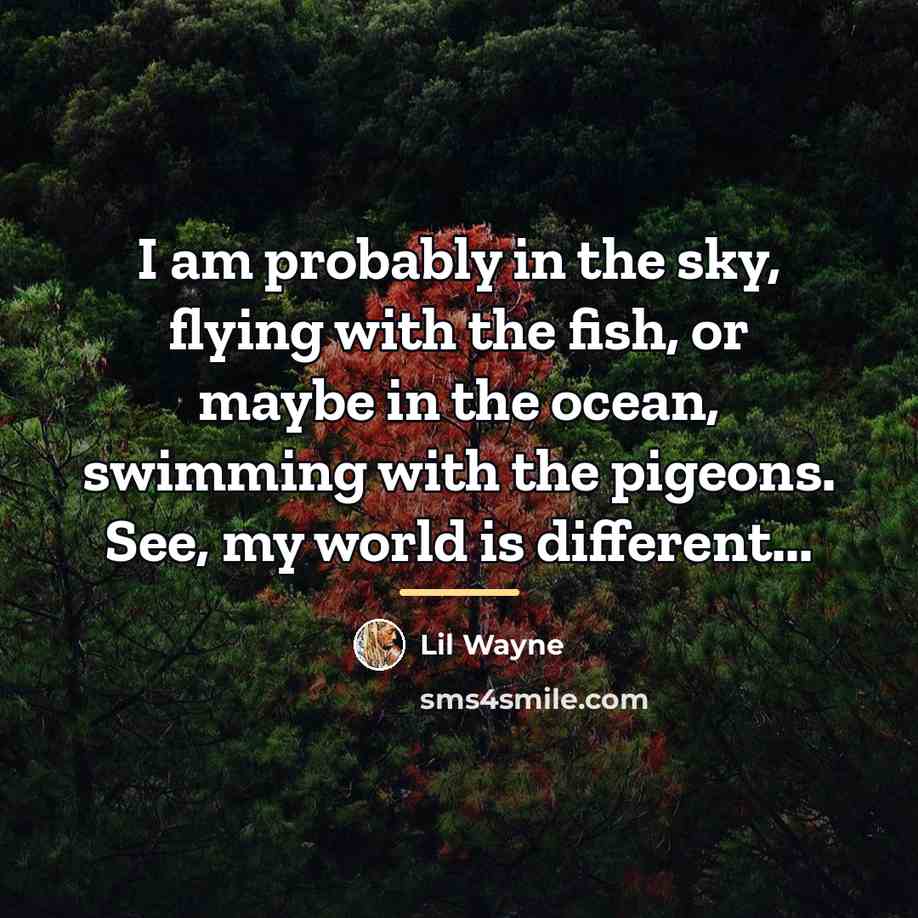 “I am probably in the sky, flying with the fish,…” quote by Lil Wayne
