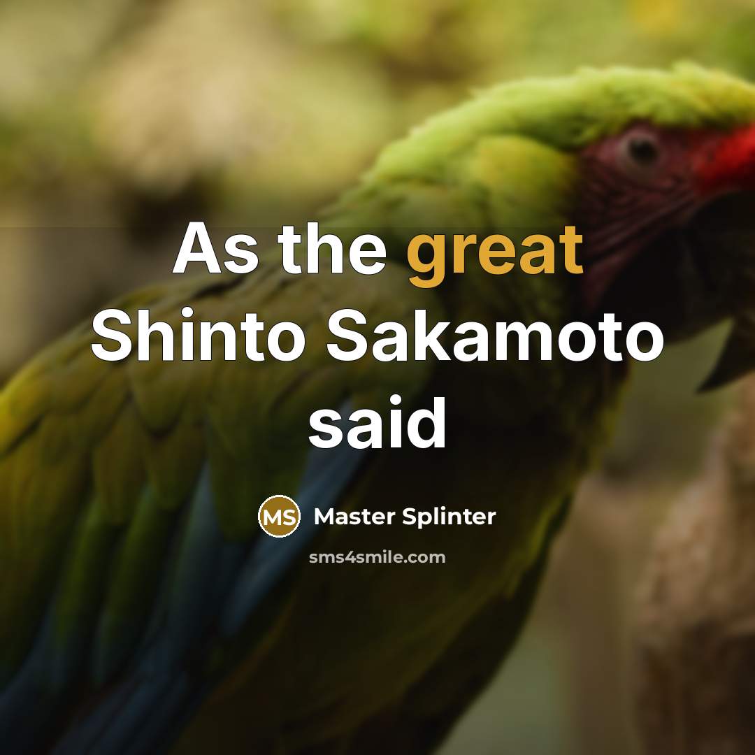 “As the great Shinto Sakamoto said…” quote by Master Splinter