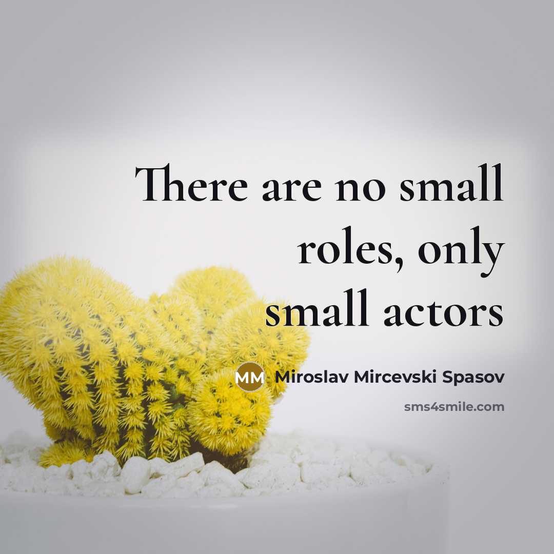“There are no small roles, only small actors…” quote by Miroslav Mircevski Spasov