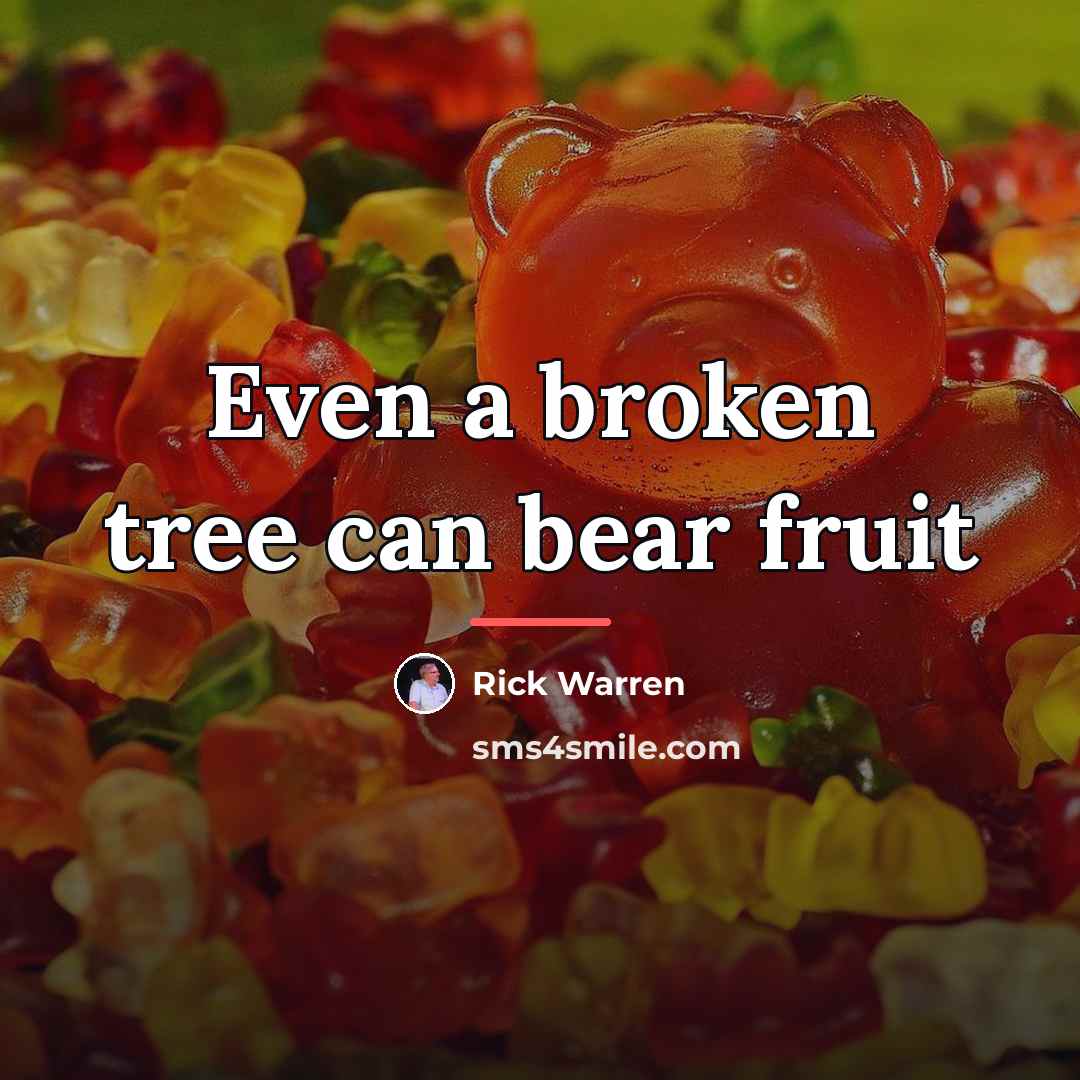 “Even a broken tree can bear fruit…” quote by Rick Warren