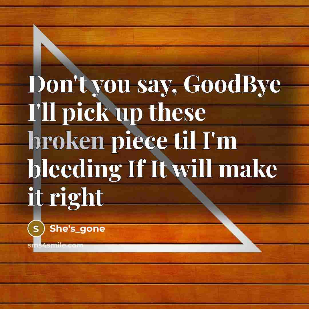 “Don't you say, GoodBye I'll pick up these broken piece til I'm bleeding If It will make it right” quote by She's_gone