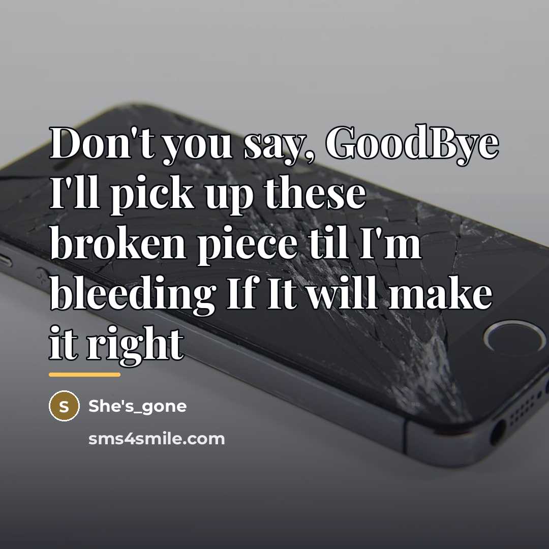 “Don't you say, GoodBye I'll pick up these broken piece…” quote by She's_gone