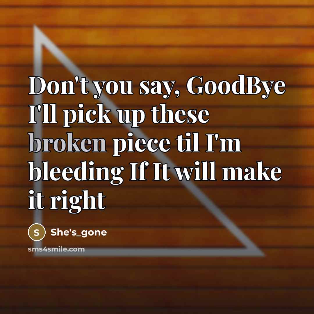 “Don't you say, GoodBye I'll pick up these broken piece til I'm bleeding If It will make it right” quote by She's_gone