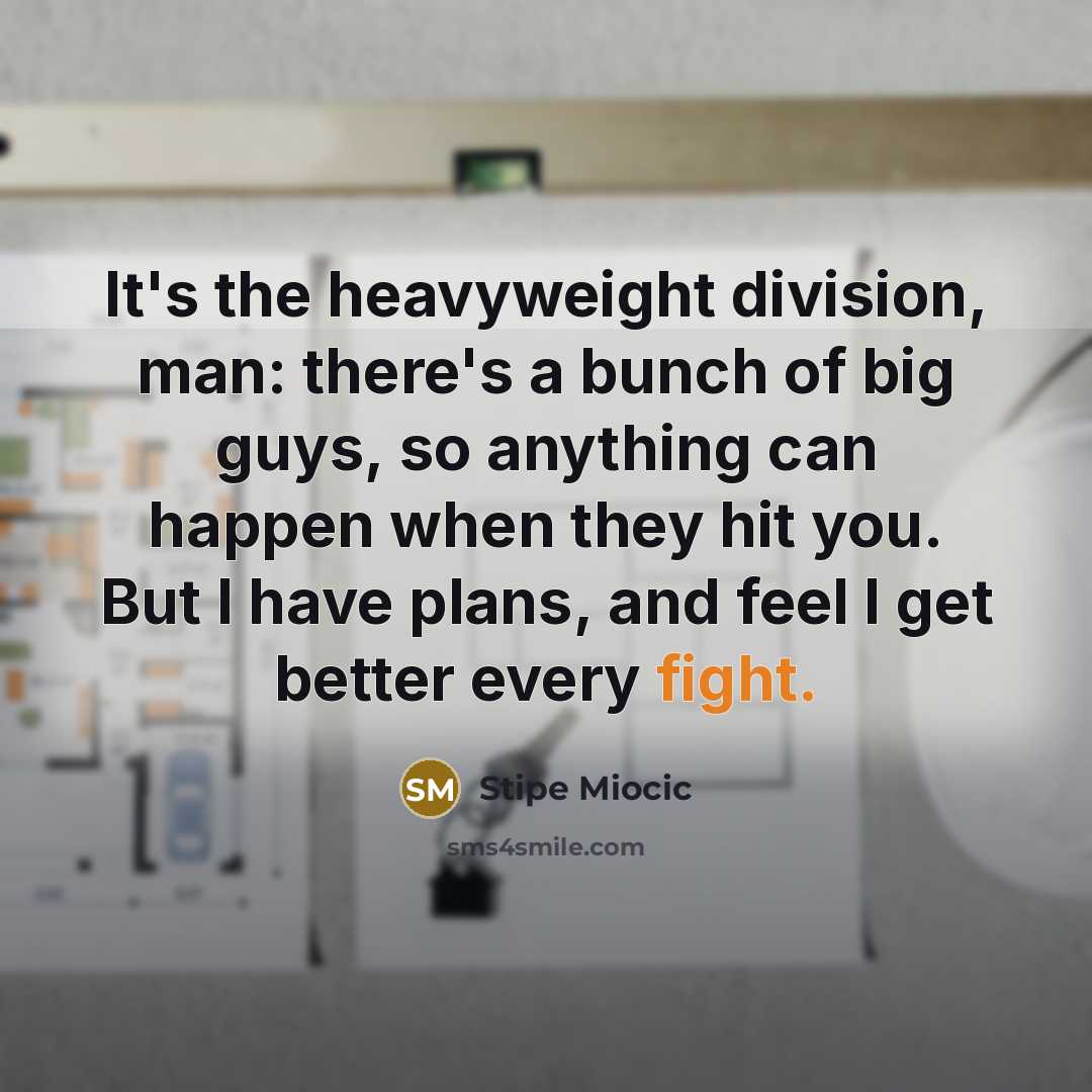 “It's the heavyweight division, man: there's a bunch of big…” quote by Stipe Miocic