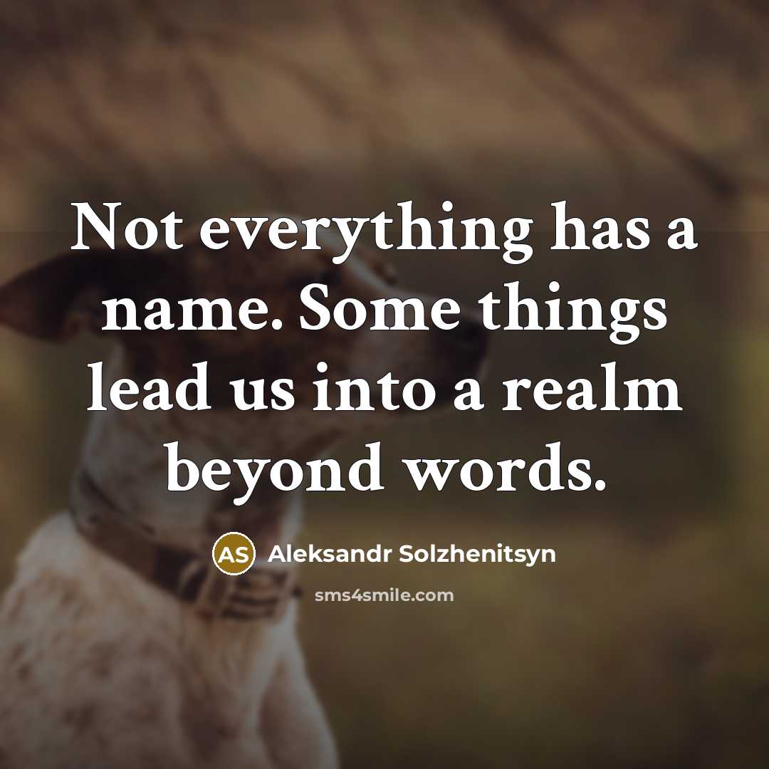 “Not everything has a name. Some things lead us into a realm beyond words.” quote by Aleksandr Solzhenitsyn