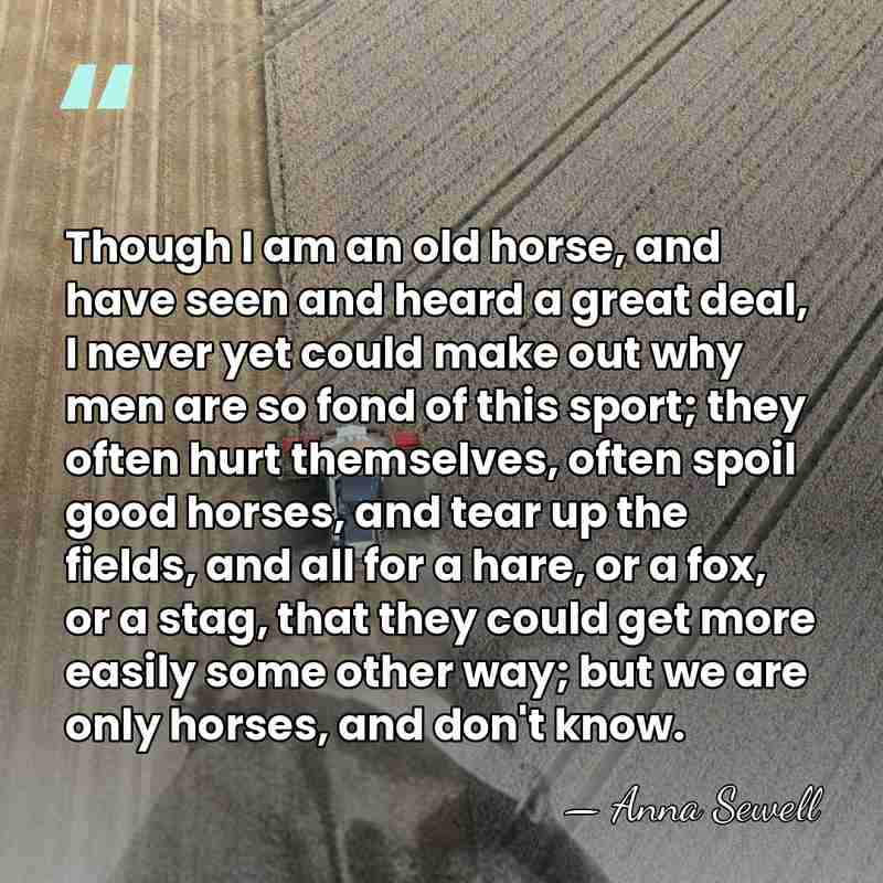 Though I am an old horse, and have seen and heard a&hellip; - Anna Sewell
