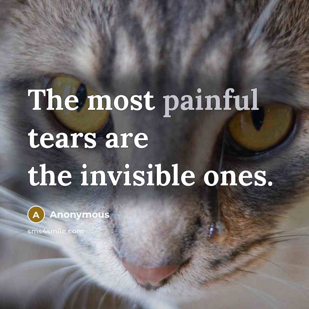 “The most painful tears are the invisible ones.…” quote by Anonymous