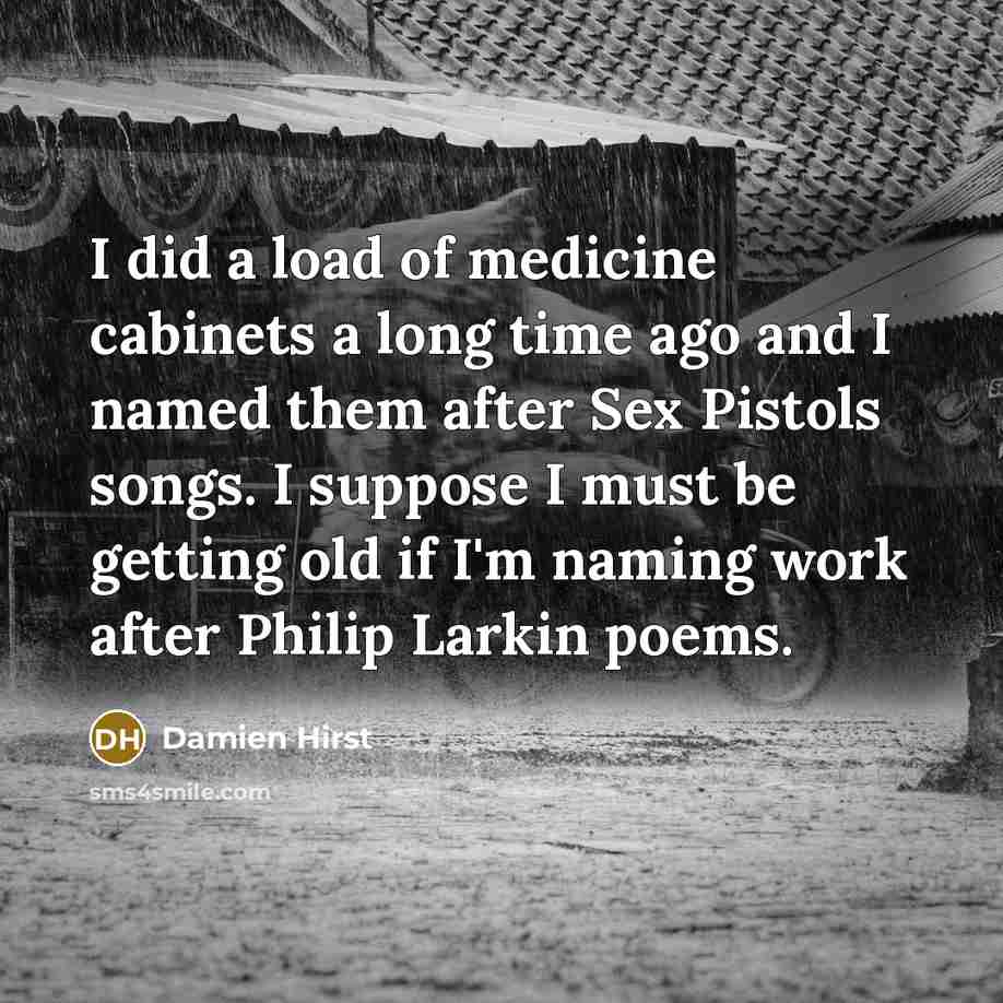 “I did a load of medicine cabinets a long time…” quote by Damien Hirst