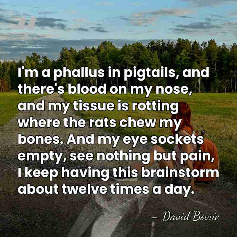 I'm a phallus in pigtails, and there's blood on my nose, and&hellip; - David Bowie