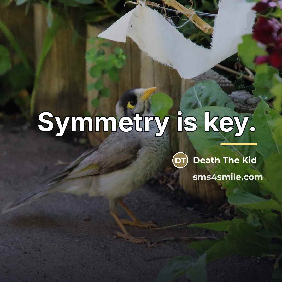 “Symmetry is key.…” quote by Death The Kid