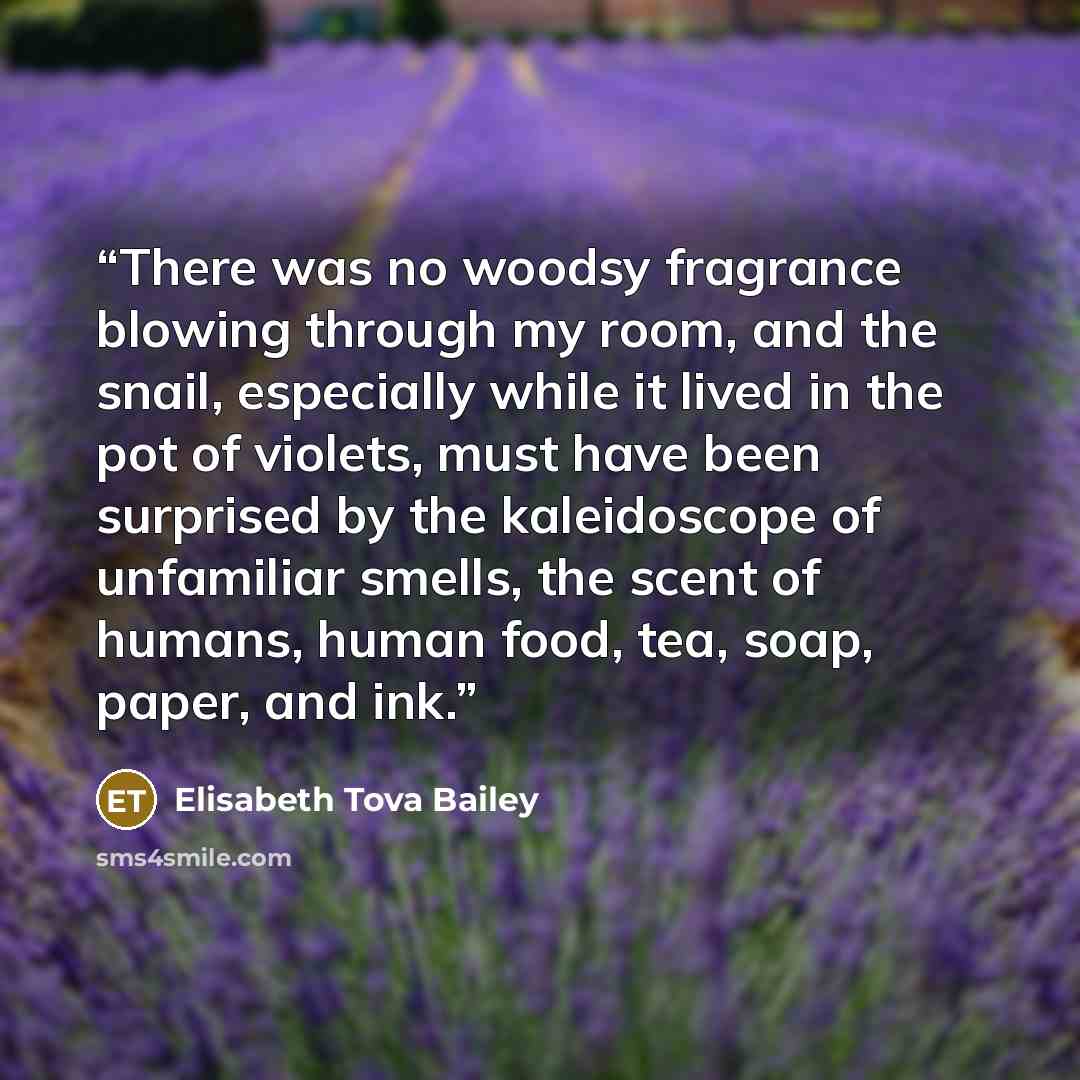 “There was no woodsy fragrance blowing through my room, and the snail, especially while it lived in the pot of violets, must have been surprised by the kaleidoscope of unfamiliar smells, the scent of humans, human food, tea, soap, paper, and ink.” quote by Elisabeth Tova Bailey