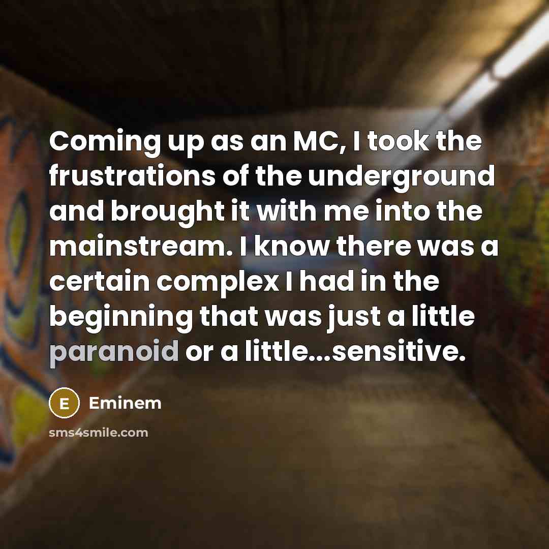 “Coming up as an MC, I took the frustrations of…” quote by Eminem