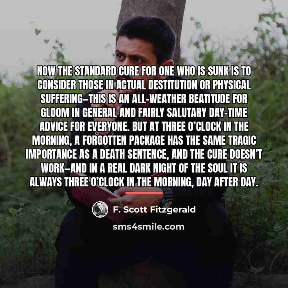 “Now the standard cure for one who is sunk is…” quote by F. Scott Fitzgerald
