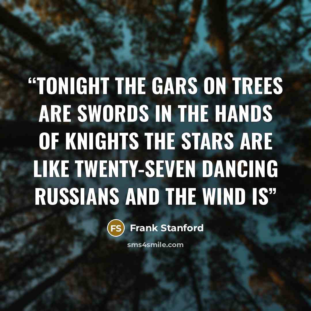“tonight the gars on trees are swords in the hands of knights the stars are like twenty-seven dancing russians and the wind is” quote by Frank Stanford