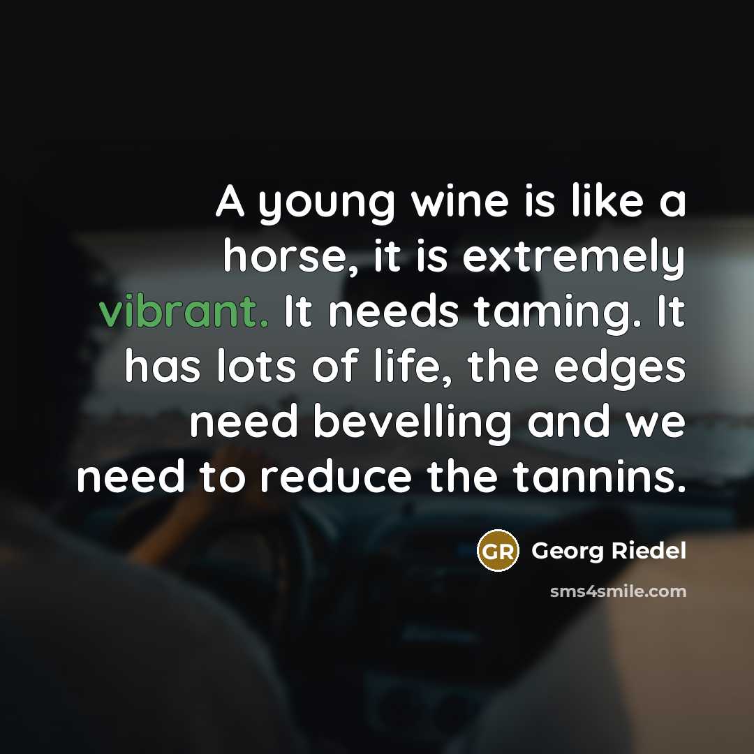 “A young wine is like a horse, it is extremely vibrant. It needs taming. It has lots of life, the edges need bevelling and we need to reduce the tannins.” quote by Georg Riedel