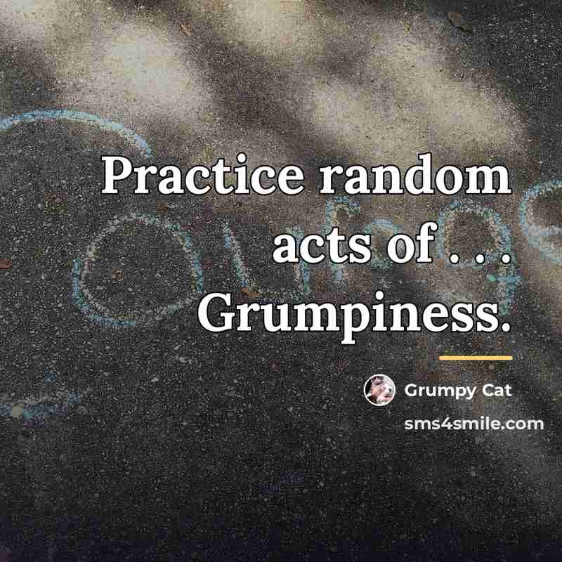 “Practice random acts of . . . Grumpiness.…” quote by Grumpy Cat