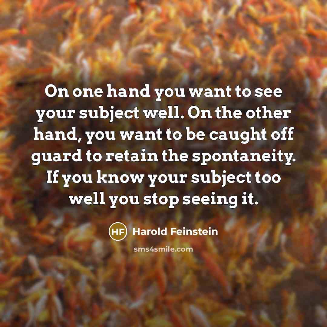 “On one hand you want to see your subject well.…” quote by Harold Feinstein