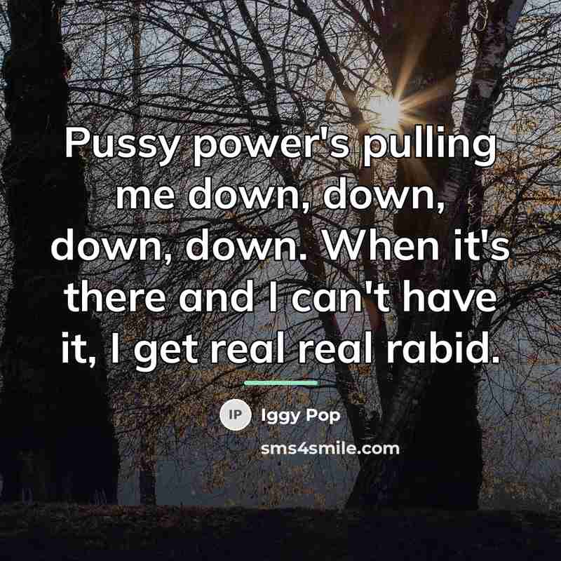 “Pussy power's pulling me down, down, down, down. When it's…” quote by Iggy Pop