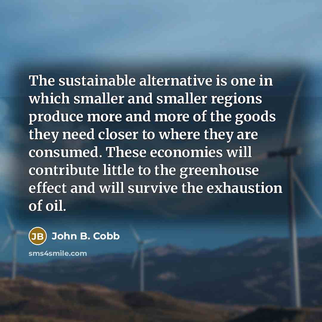 “The sustainable alternative is one in which smaller and smaller…” quote by John B. Cobb