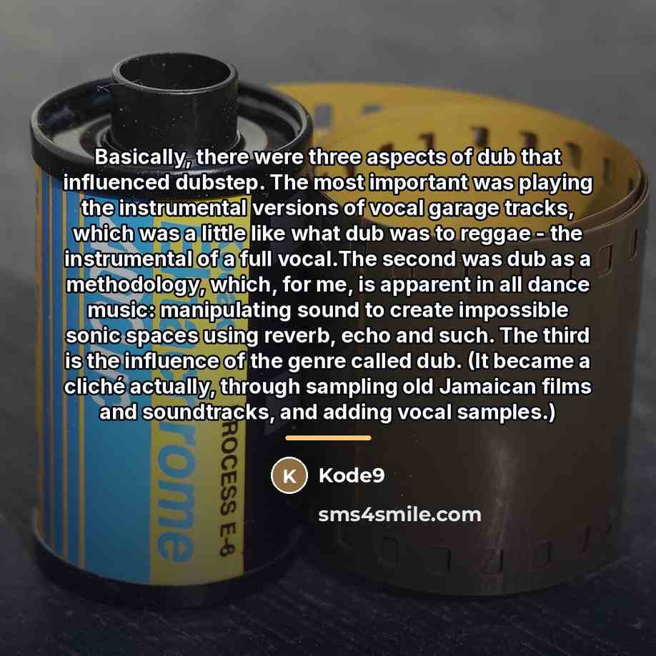 “Basically, there were three aspects of dub that influenced dubstep.…” quote by Kode9