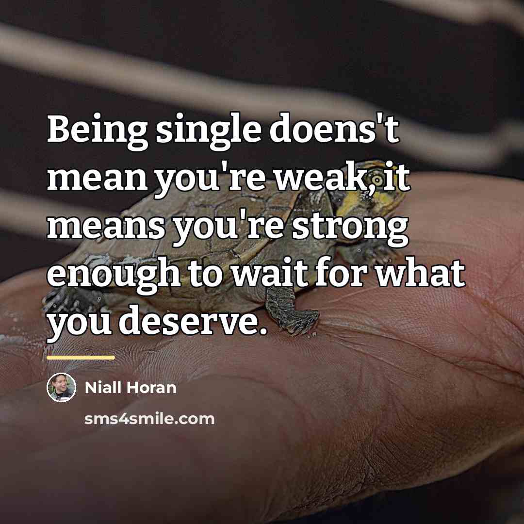 “Being single doens't mean you're weak, it means you're strong…” quote by Niall Horan