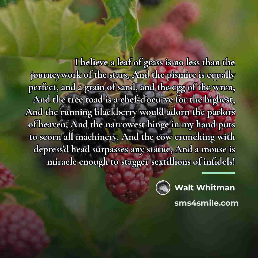 “I believe a leaf of grass is no less than…” quote by Walt Whitman